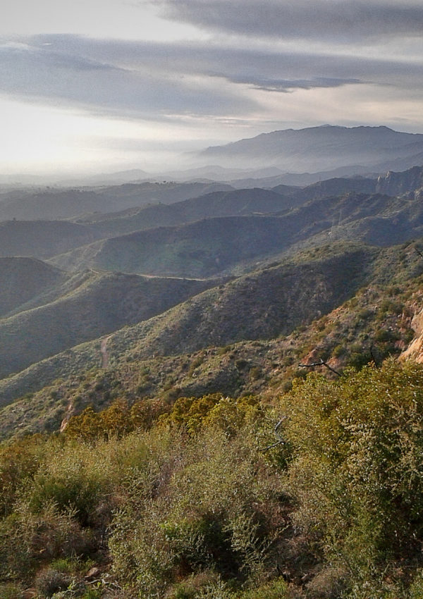 HIKING ADVENTURES IN L.A.