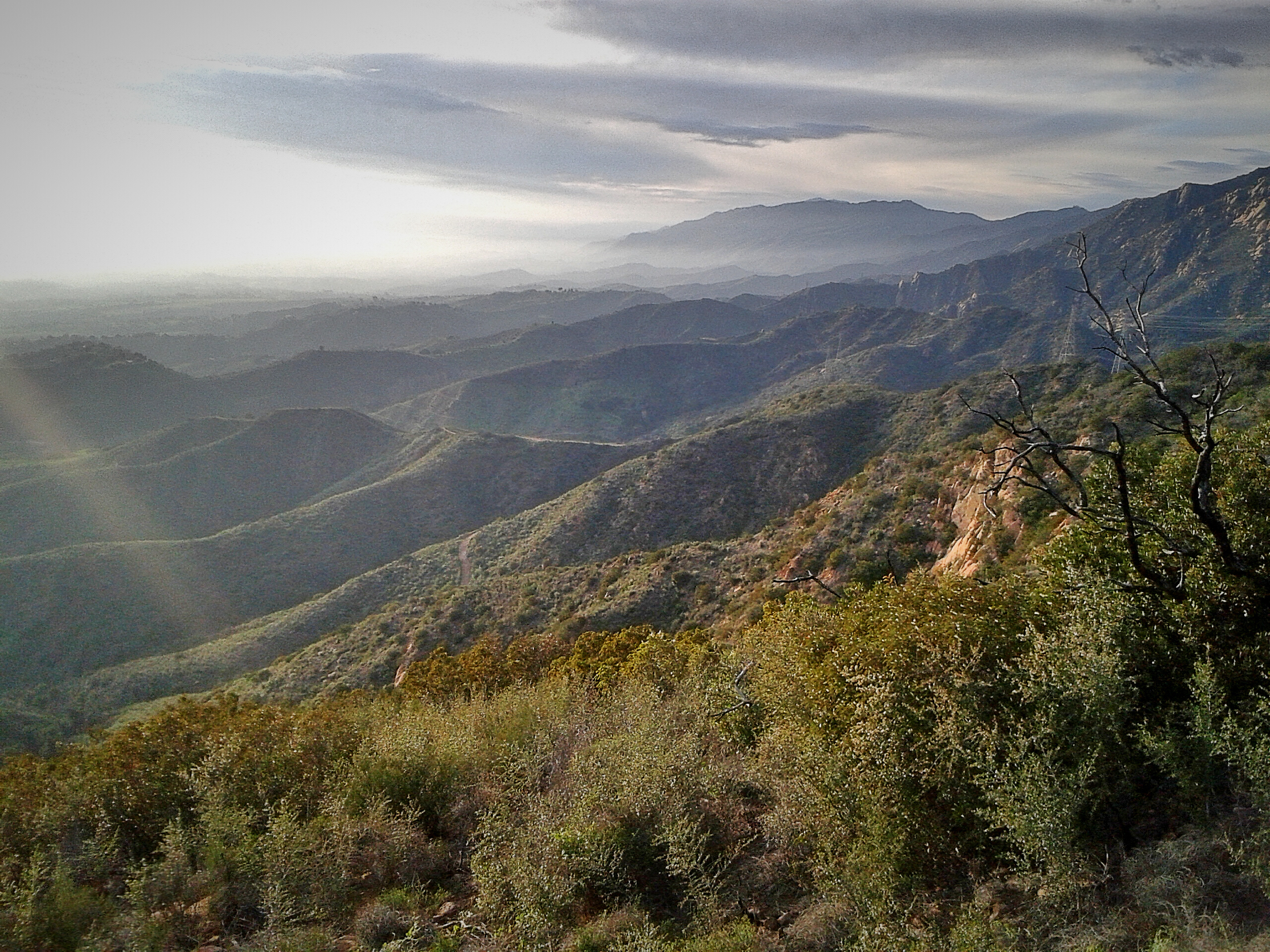 HIKING ADVENTURES IN L.A.
