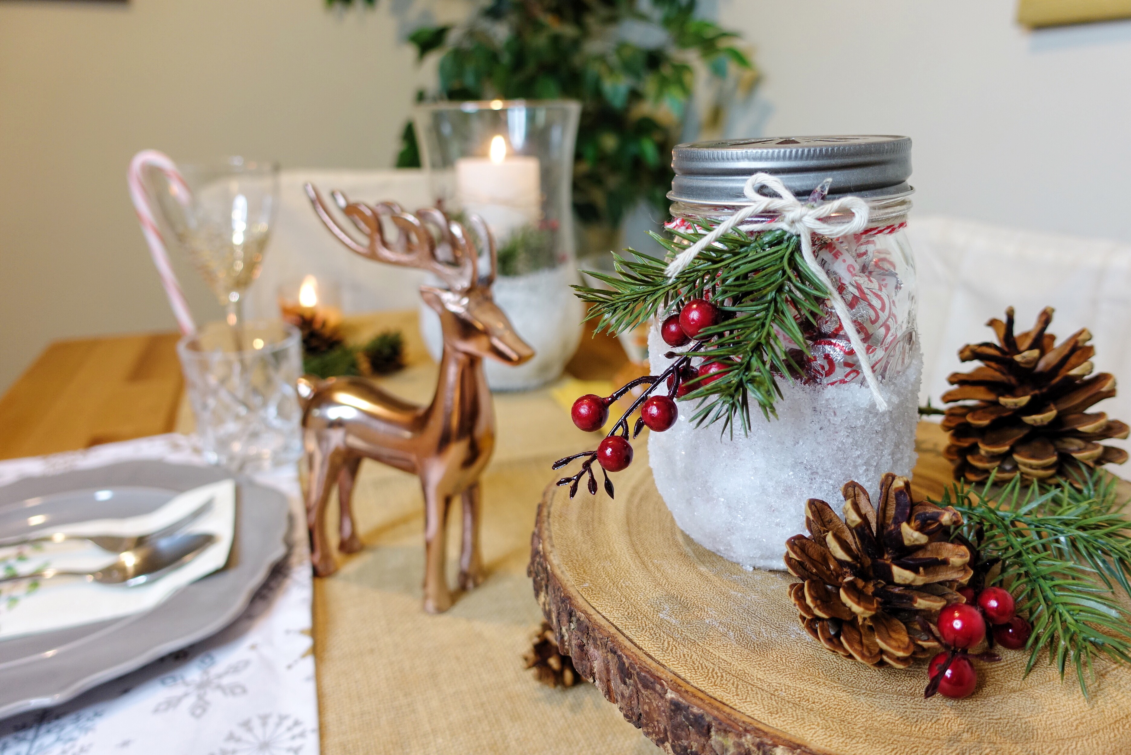 EASY CHRISTMAS DIY – CENTERPIECE AND COCKTAILS!!!